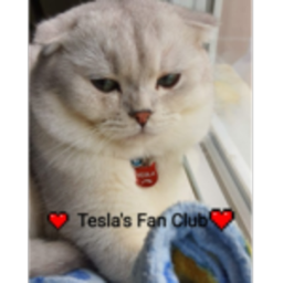 TESLA'S FAN CLUB HUB