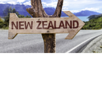 NZ GANG