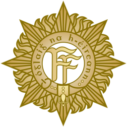 Irish army training