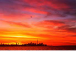 Sunrise Interactive & Games
