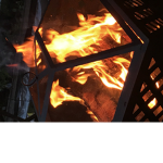 Fire kittens squad