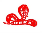 The Red Cobra Empire