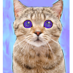 catland magic