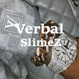 VerbalSlimeZ HomeStore