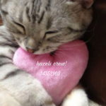 hazels loves