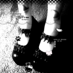 a dolls diary