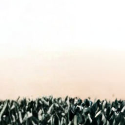 ˚ · .