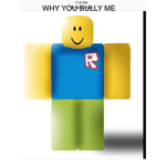 Don’t bully noobs