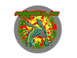 rayquaza inc