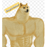 The official Doges United group
