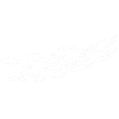 Large Group of Fish Silhouette 1 Roblox decal