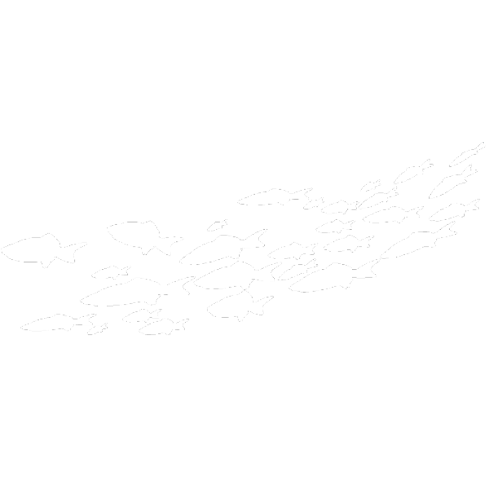 Large Group of Fish Silhouette 1 Roblox decal