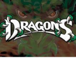 Dragon Squads!!