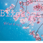 Blxssoms clothing