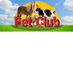 Animals grup