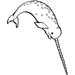 Narwhal Society