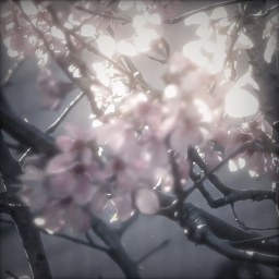 ♱