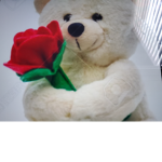 <3 Radical Teddys! <3