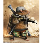 USR - UNITED STATES OF RATS