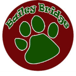 Bailey Bridge Bridge Middle School