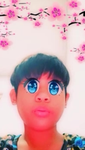 HamsterW