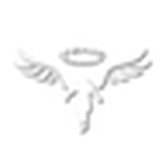 VALHALLA | SCHOOLRP