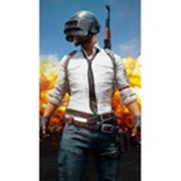Pubg (Free Vip Server)