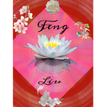 FENG & LIU
