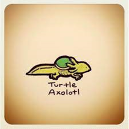 #SaveTheTurtles Hang Out