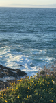 >>Our little Island<<