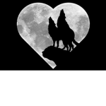 Wild kind wolves