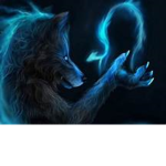 wolf squad(fan group to welp)