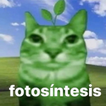MasterNoob_Oficial