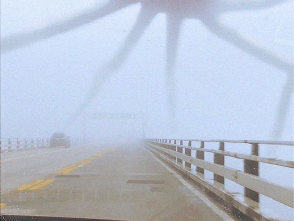 !trevor creatures! screenshot 1