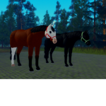Maily Equestrian Facility