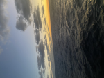 Seets fantastic group