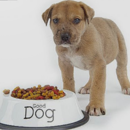 The Dog Food Factory 2008