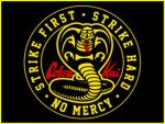 Ninjago Spinjitsu Forever