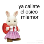 _miss_trade_