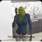 Fans sherk