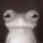~•Ｆｒｏｇｓ•~