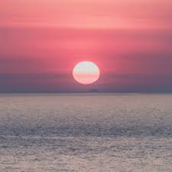 Friend Roleplay / Hide and Seek Game!