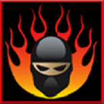 Fire Ninja Sages