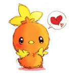 Real Torchic Squad!