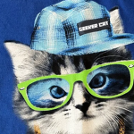 Geeker Cat