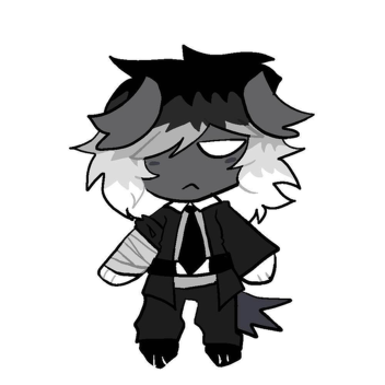 hakimarcy