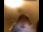 fundddedd