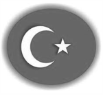 Turkish Pro Solider (TPS)
