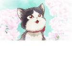 Gato kawai