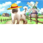 One Piece Kittens :D